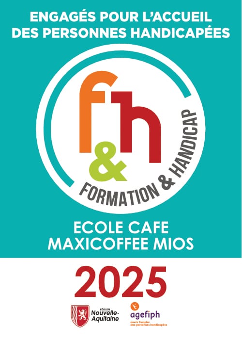 logo formation et handicap 2025